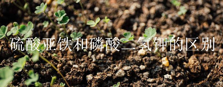硫酸亚铁和磷酸二氢钾的区别