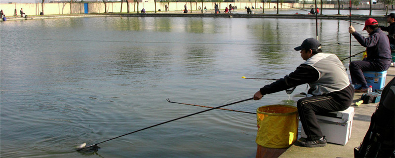 冬天钓鱼用什么打窝