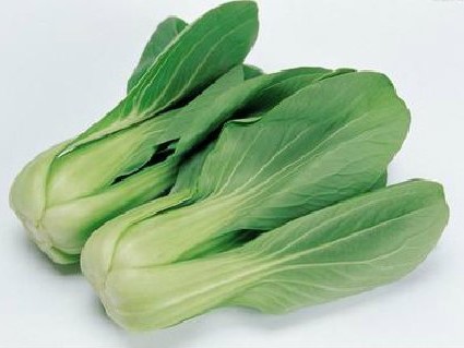 蔬菜订货软件有哪些推荐