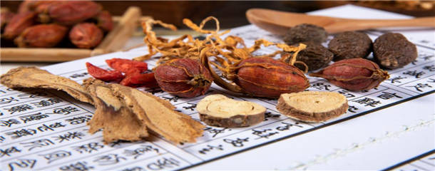 东北适合种植什么药材