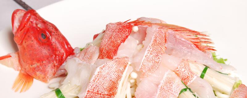 东星斑是海鱼吗