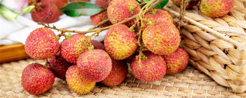 荔枝树几年可以挂果