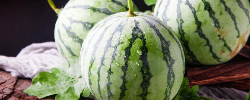 甜王哪个品种产量高