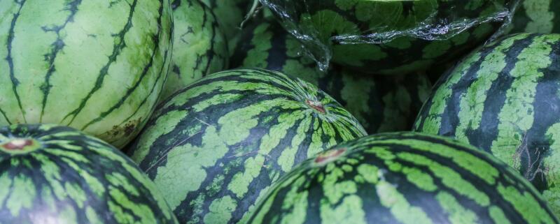 西瓜不能打什么农药