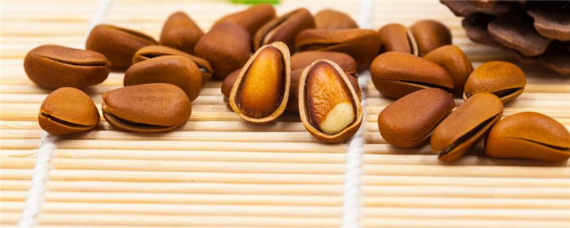 松子是果实还是种子