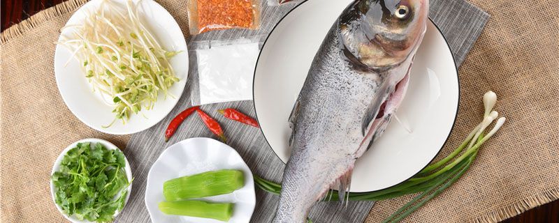 鲢鱼吃什么饲料