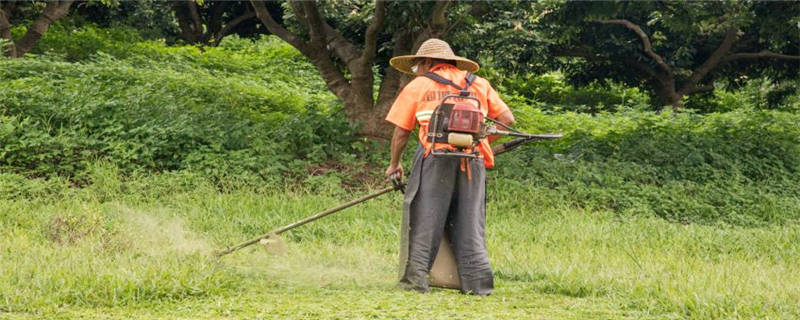 阔世玛除草剂使用技术