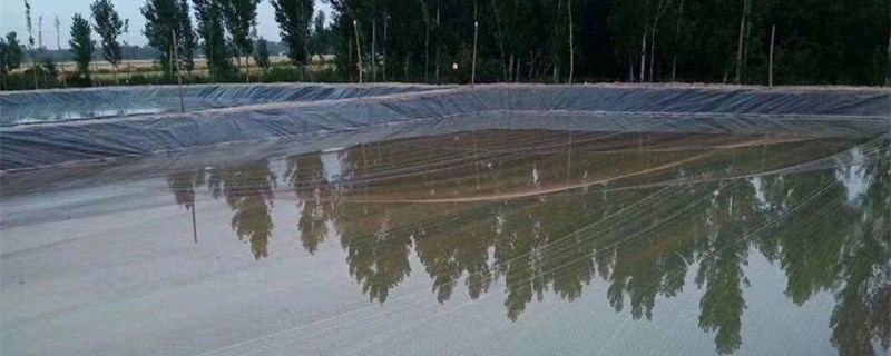 鱼塘防渗膜一般多厚
