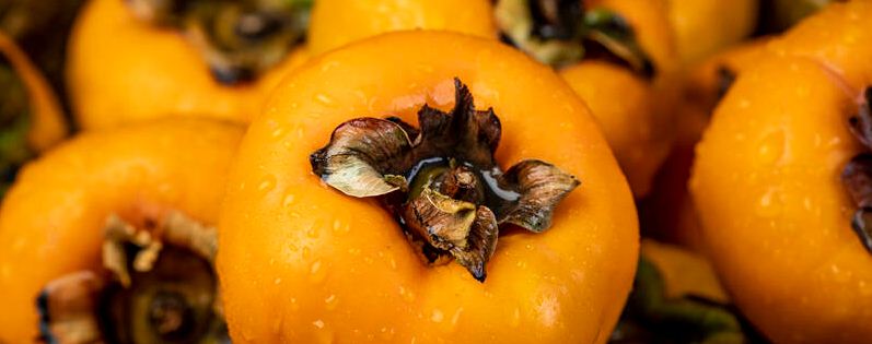 柿子落果什么原因?怎样防治?