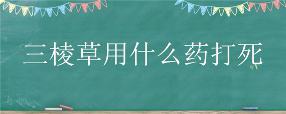 三棱草用什么药打死
