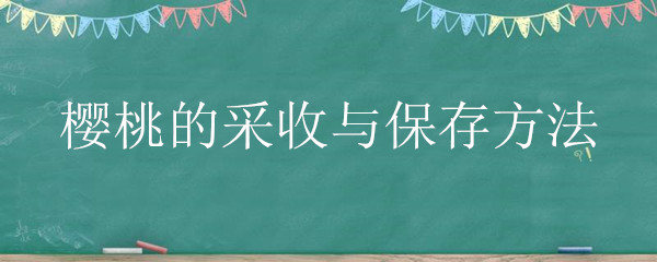 樱桃的采收与保存方法