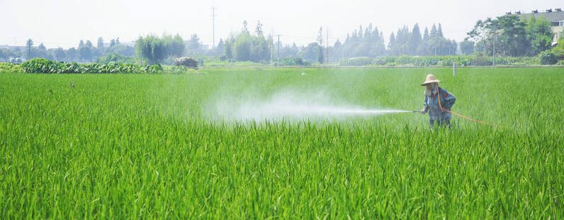 野老水稻除草剂说明