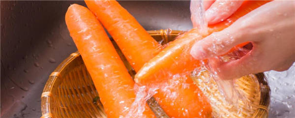 胡萝卜最晚种植时间