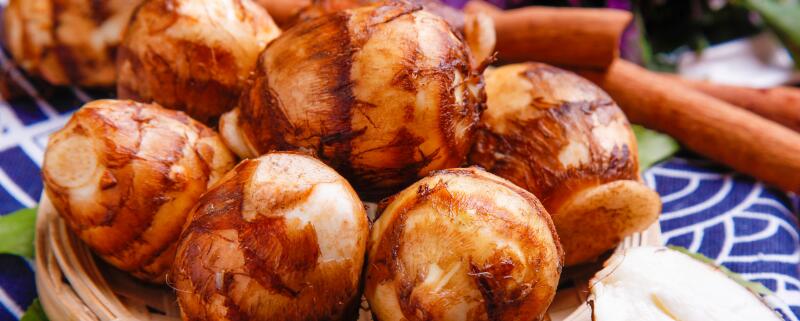 芋头种植行距株距是多少