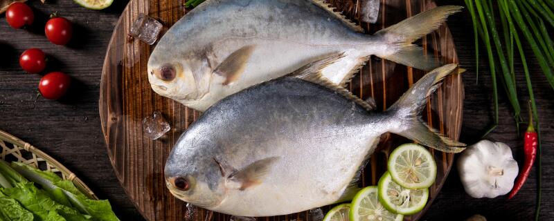 鲳鱼是深海鱼吗