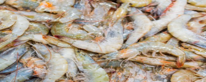 虾脱壳死解决办法