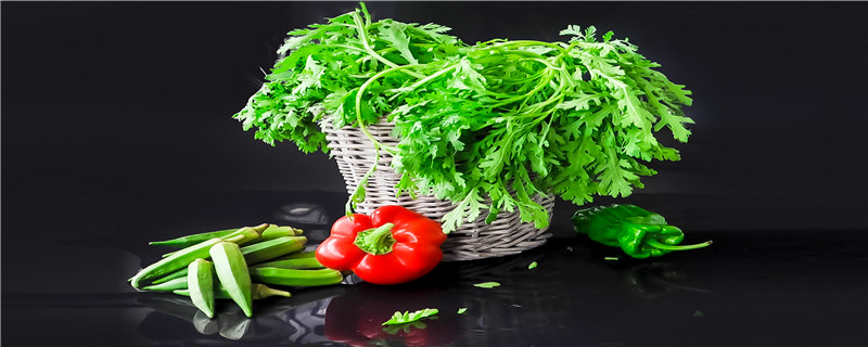 叶子菜怎么施肥