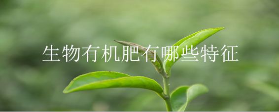 生物有机肥有哪些特征