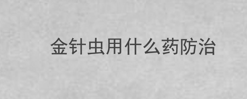 金针虫用什么药防治