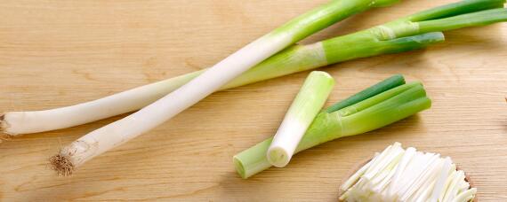 山东大葱种植时间