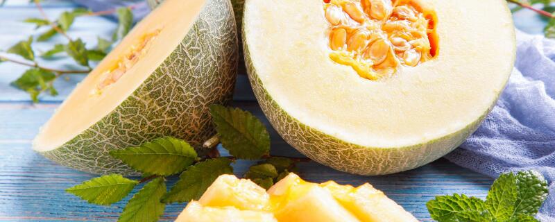 网纹瓜种植注意事项