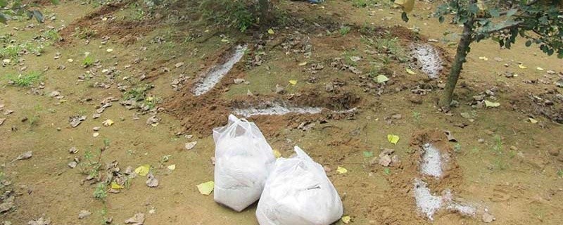 施肥量怎么确定