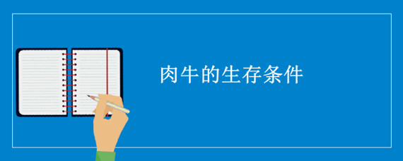 肉牛的生存条件