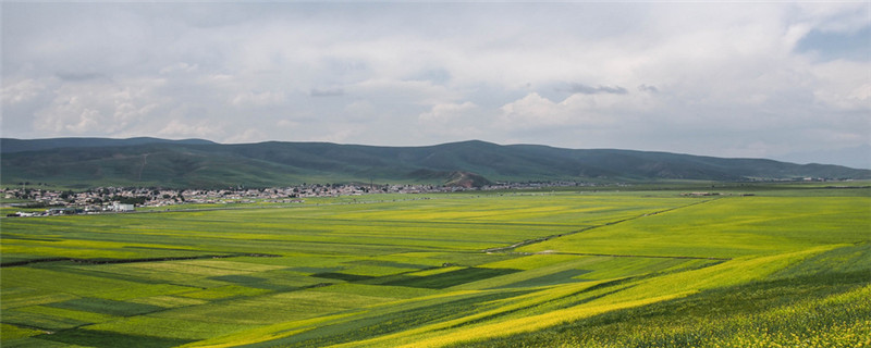 西北地区是什么农业