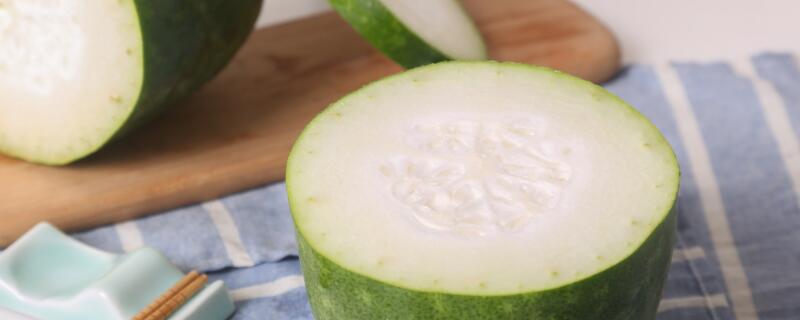 冬瓜种植时注意事项