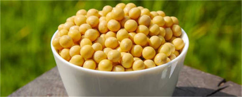 东升7号大豆品种介绍