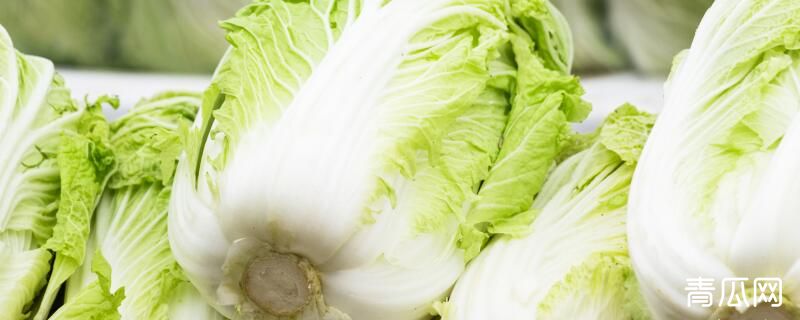 大白菜怎么施肥