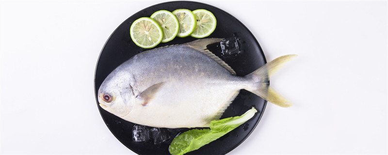 鲳鱼和武昌鱼的区别