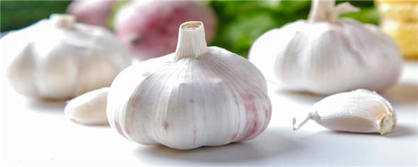 大蒜下茬适合种植什么