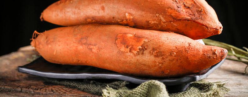 雪莲果产自哪里