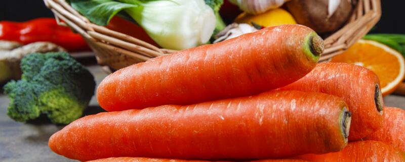 胡萝卜几月份种植