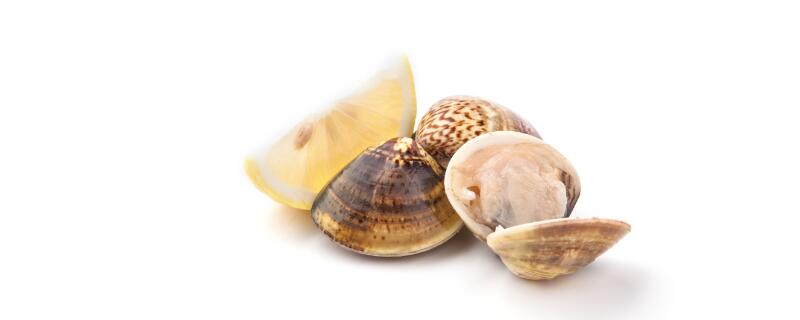 花甲生长在哪里