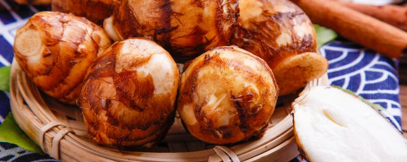 芋头疫病用什么农药