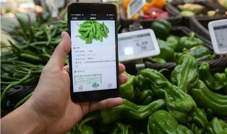 生鲜电商模式有哪些推荐