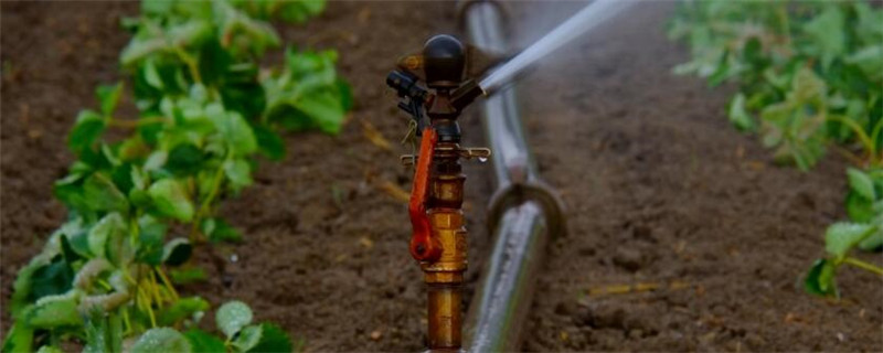 灌溉农业主要分布在哪