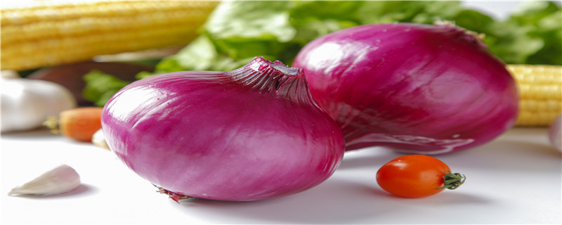 洋葱是果实还是种子