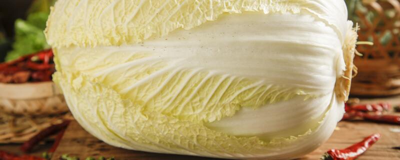 胶菜和大白菜的差别