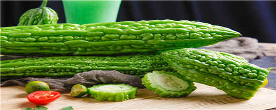 苦瓜种子催芽方法