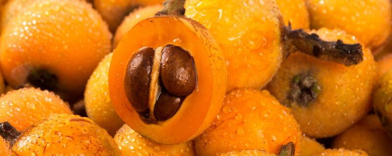 枇杷核种植会结果吗