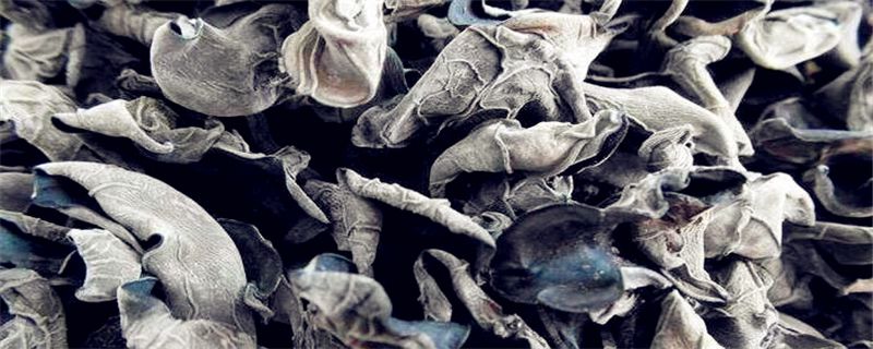 黑木耳种植注意事项