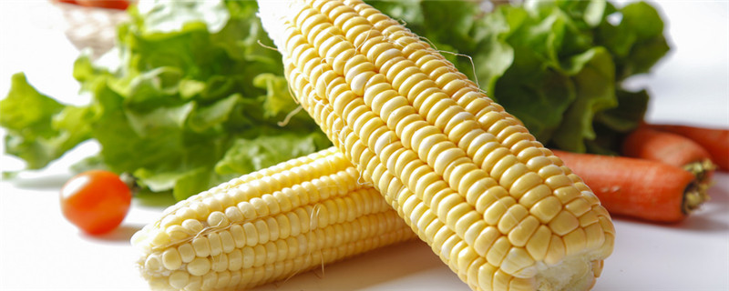 玉米是蔬菜还是水果
