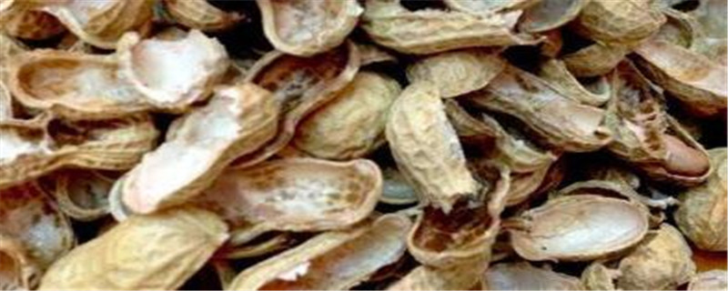 怎样将花生壳腐熟