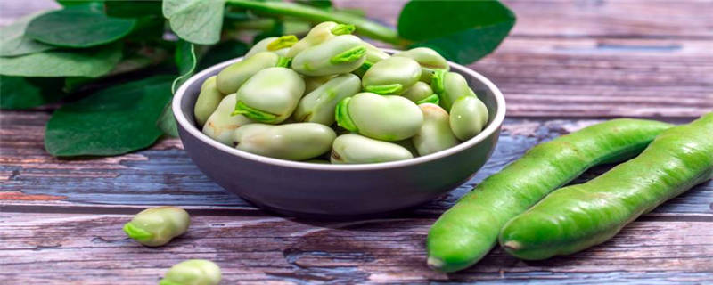 蚕豆是什么植物