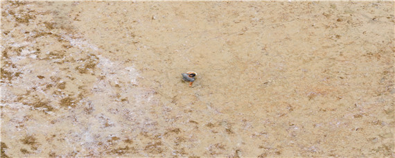 传统肥料有哪些