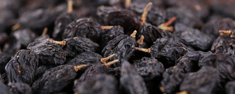 黑枸杞多久挂果