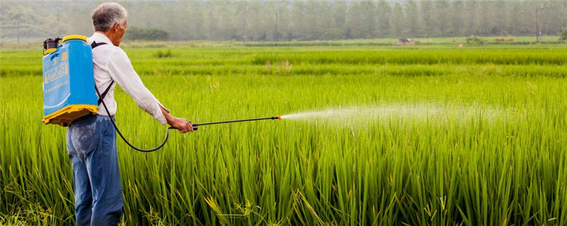 一般农药的药效是多长时间